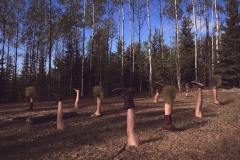 StiefelMelissa1_Grown